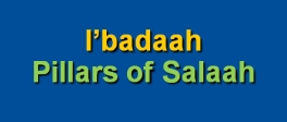 Salaah 08-Pillars of Salaah